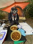 食蕃薯糖水暖暖身先
20230114-084