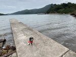 一村屋旁小碼頭可見赤徑碼頭和燈塔, 續上北潭凹
20230114-106
