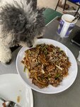 可口乾炒牛河
20230223-210