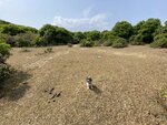 龍頸筋附近大草地
20230307_062