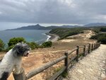 石級中望塔門大草地, 己無乜草
20230307_071