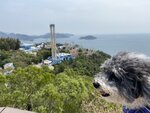 高峰樂園一角望海洋天地內的機動遊戲

20230316-040