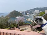 高峰樂園一角望鴨脷洲和玉桂山
20230316-042