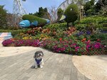 海濱樂園廣場中
20230316-060