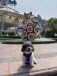 海洋公園入口的海洋廣場
20230316-069