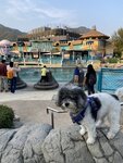 在酒店稍休後再度入海洋公園內
20230316-076