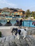 夢幻水都人工湖, 對面是海濱禮品廊
20230316-077