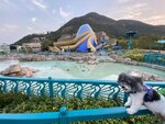 水都人工湖和背後的南朗山. 見到海洋公園的海馬標誌
20230316-084