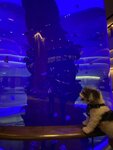 酒店大堂內水族
20230316-096