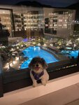 房間內望酒店泳池夜景
20230316-098