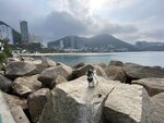 麗海堤岸路中前望淺水灣
20230316-107