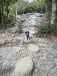 上淺水灣坳途中
20230316-109