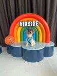 Airside 地下層的 Pet Wonderland
20231026-0009