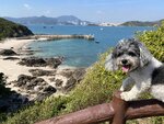 營地望沙灘和北碼頭

20231122-048