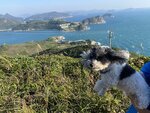 鐵絲網旁回望, 勁大風
20231122-105
