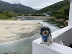 原路走回十塱再沿馬路出鹹田, 天后廟旁望鹹田村
20240318-039