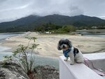 貝澳灘, 遠處大東山, 二東山和蓮花山(左至右)20240318-040
