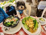 貝澳坐車出梅窩食晏
20240318-048