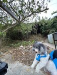 飯後走鳳徑12段沿海邊走回營地
20240318-049