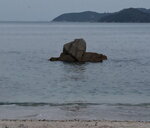 海中石似小狗
20240318-067