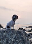 妹釘吐日
20240410-203