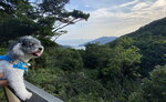 觀景台望石壁水塘
20240515-061