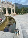 大佛廣場遙望鳳凰山
20240515-080