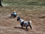IMG-20240804-WA0236