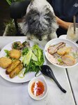 是晚食越菜
20240828-081