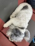 乘船回程中妹釘要休息啦

20240828-089