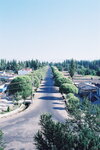 F1060028