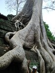 CambodiaDC078