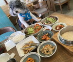 中午去了炮台山食韓國菜
20240917-004