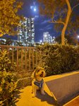 行路往西灣河嘉亨灣途中
20240917-026