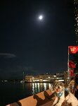 鯉景灣海旁
20240917-031