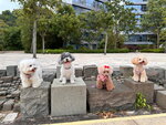 IMG-20241010-WA0263 (002)