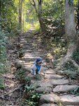 中段石砌級
20241024_000020