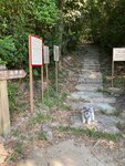 營地行去斬竹灣上長山的山路口
20241031_0043