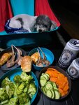妹釘話, 你地慢慢食, 我瞓瞓先
20241107_000038