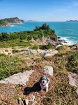 下望炮台所在
20241107_000083
