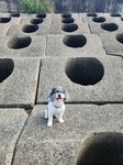 20241117_000068