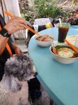 睇完日出回士多食早餐
20241130_000099