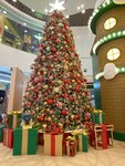 IMG-20241220-WA0009