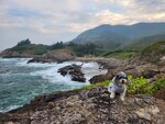 去士多後山仔睇日落, 望小石灘好大浪
mp10
