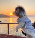 妹釘又嗅日
mp111