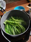 還有唐生菜, 油麥菜和唐茼
mp22