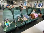 中環乘船去南丫島索罟灣
IMG-20250111-WA0001
