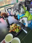 抵索罟灣先食晏
IMG-20250111-WA0002