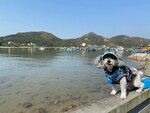 索罟灣
IMG-20250111-WA0006
