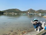IMG-20250111-WA0007